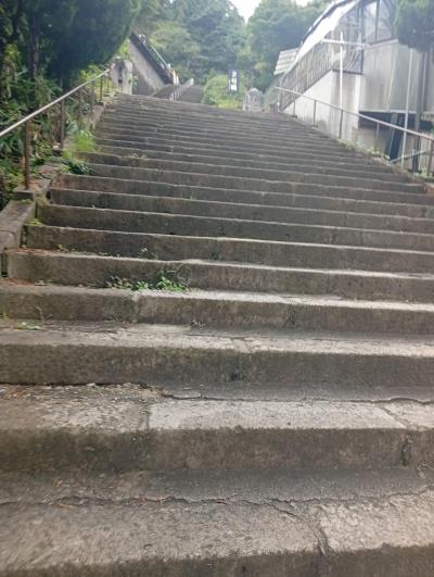 富小なう