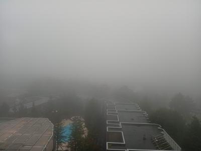 富小なう