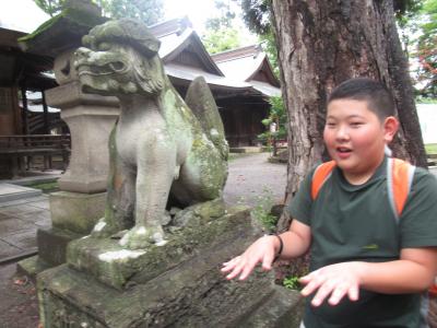 富小なう