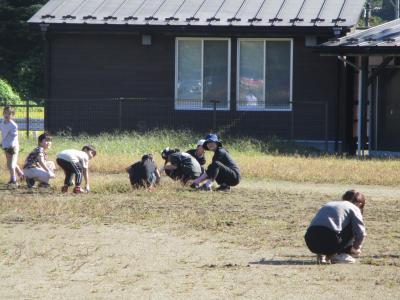 富小なう