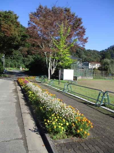 富小なう