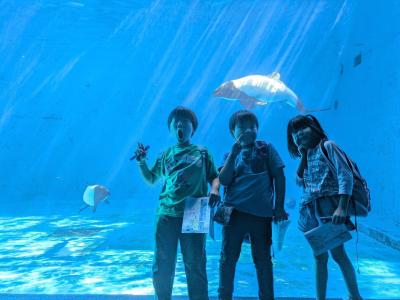 富小なう