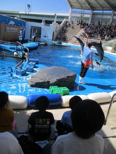 富小なう