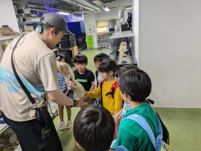 富小なう