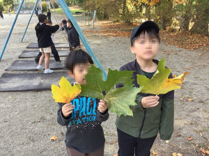 どっちが大きい