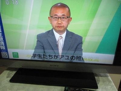 富小なう