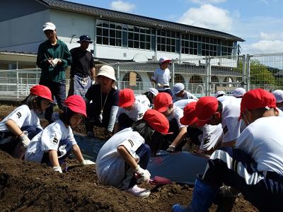 富小なう