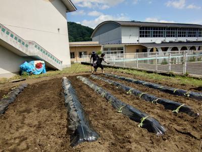 富小なう