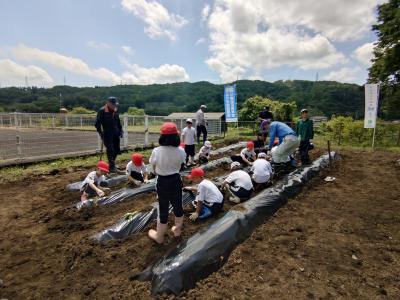 富小なう