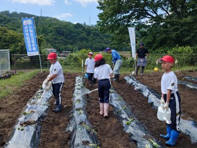 富小なう