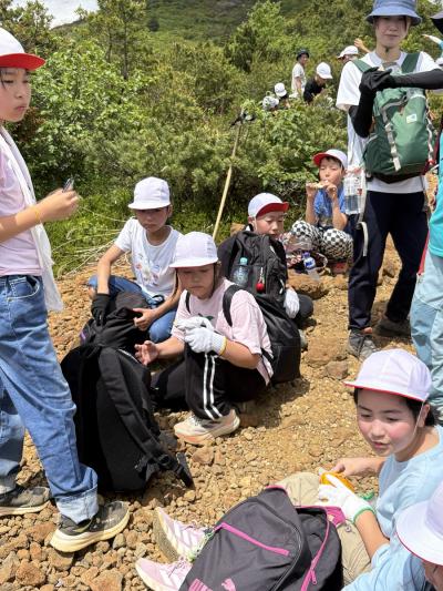 富小なう