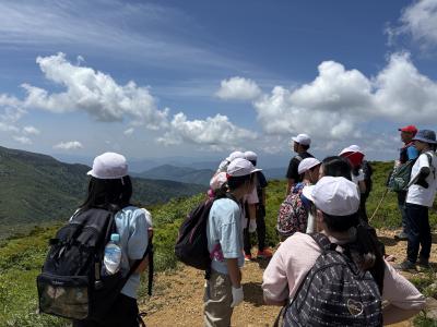 富小なう