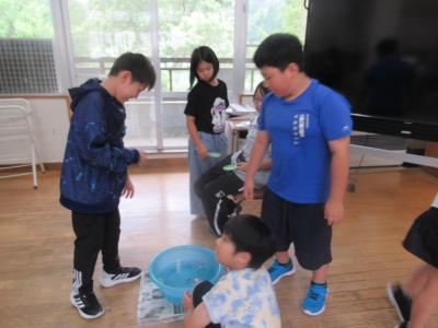 富小なう